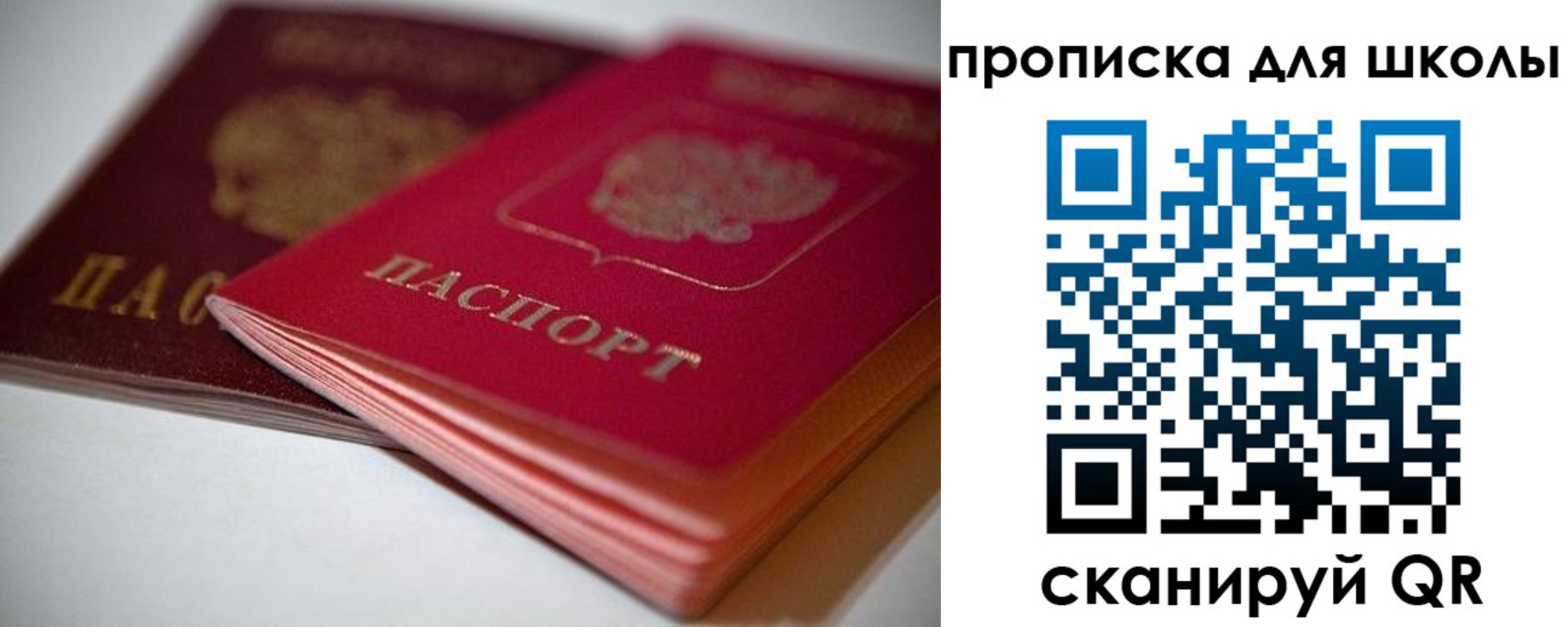 прописка для школы в Грязях